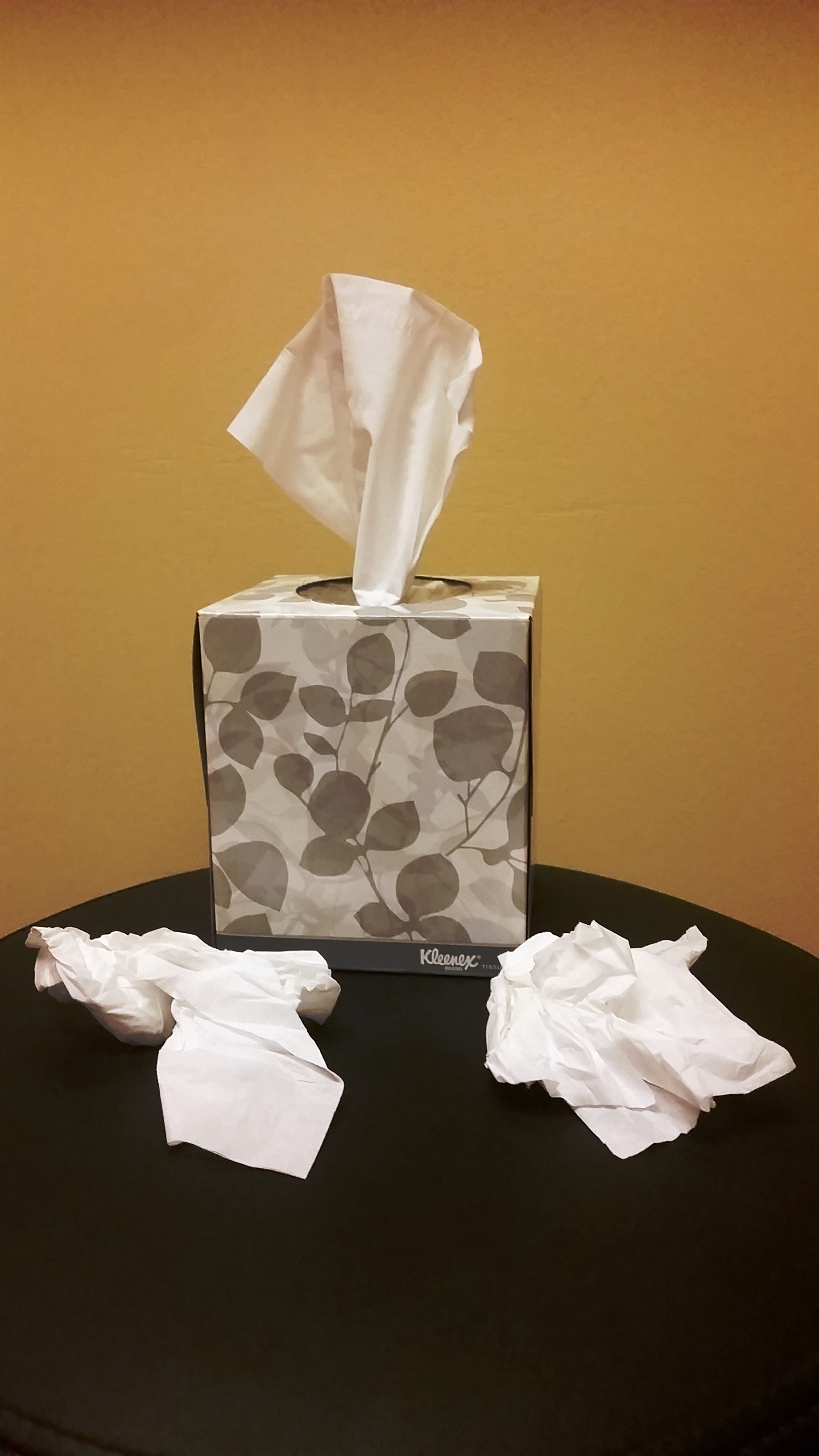 How to Prevent the Cold and Flu Post Thumbnail
