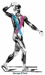 Why Sit-Ups Are Not Training Your Core Post Thumbnail
