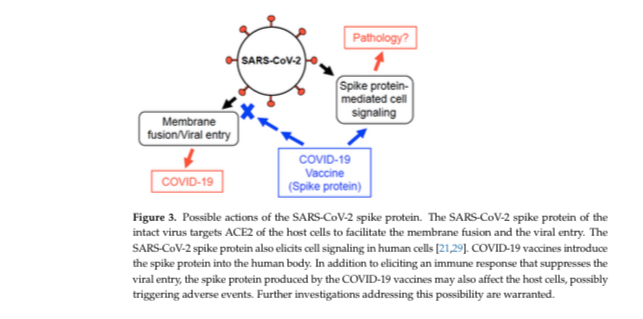 COVID-19 Vaccines Post Thumbnail
