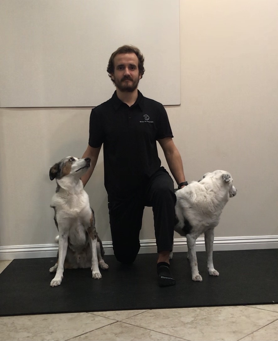 Dr. Matt’s Warm Up Sequence Post Thumbnail