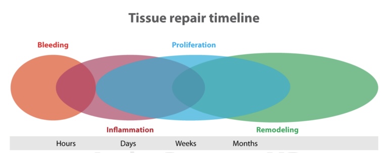 Easy Tips to Use Nutrition to Help You Maximize Your Healing Potential Post Thumbnail